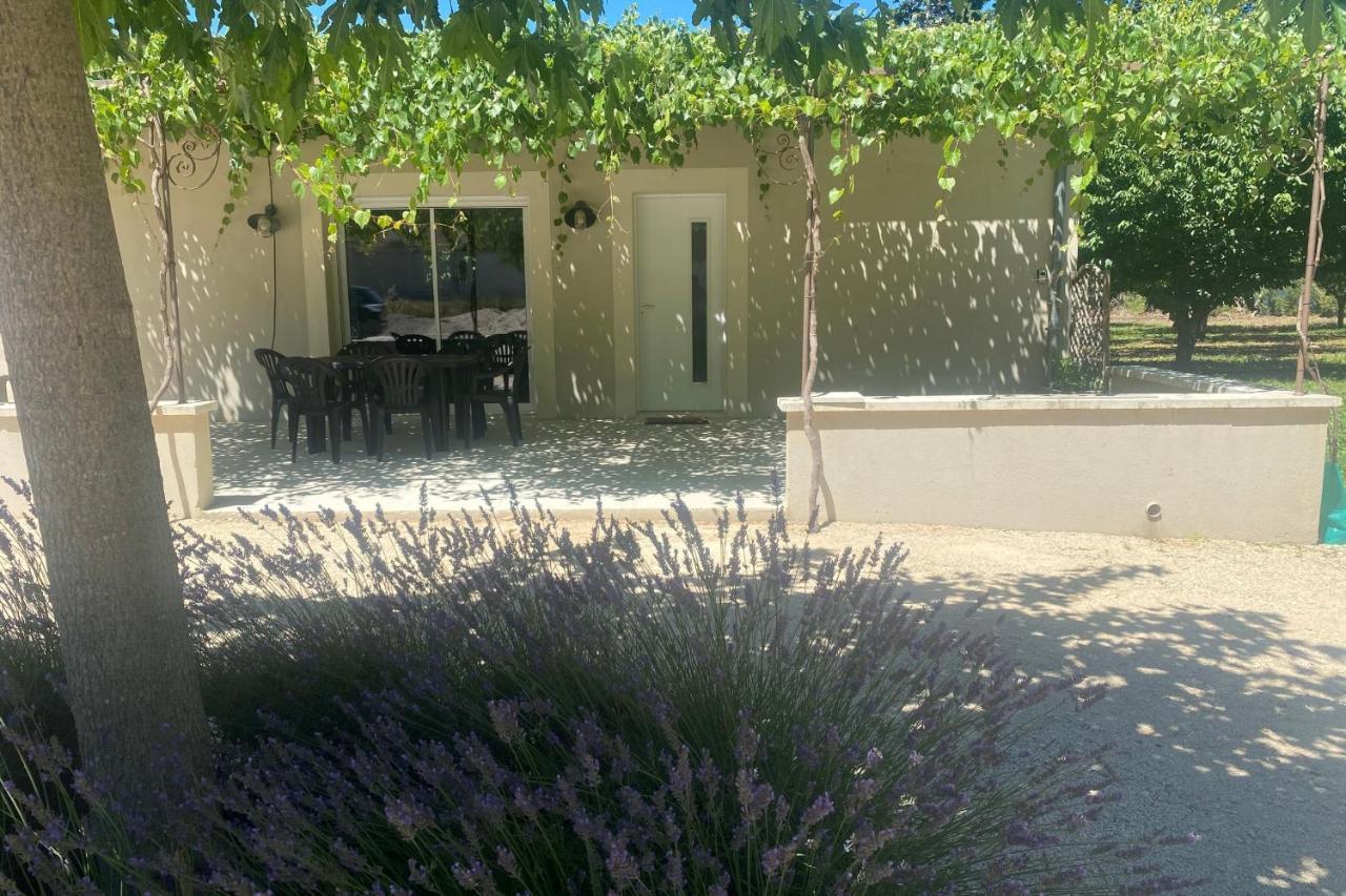 Le Ribbou LʼIsle-sur-la-Sorgue Exterior foto
